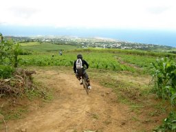 Descente du Maïdo en VTT
